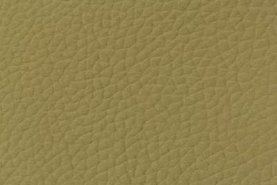 J3777-crem-galbui